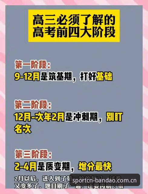 资深用户揭秘：半岛体育官网地址使用心得与2024平台实战经验